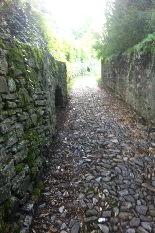 20110907-085432.jpg
