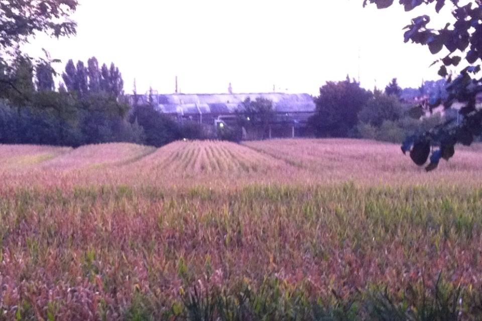 20110908-102027.jpg