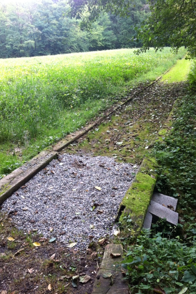 20110908-124427.jpg