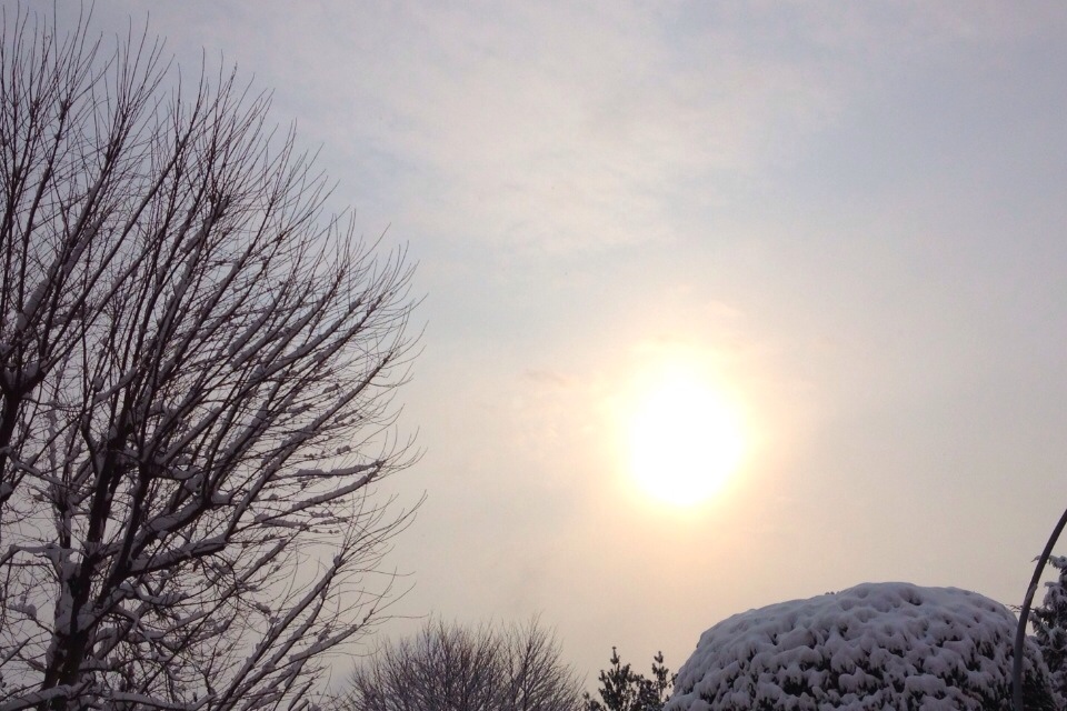20120202-104929.jpg