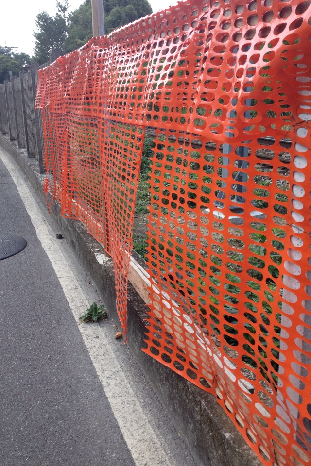 20120805-130158.jpg