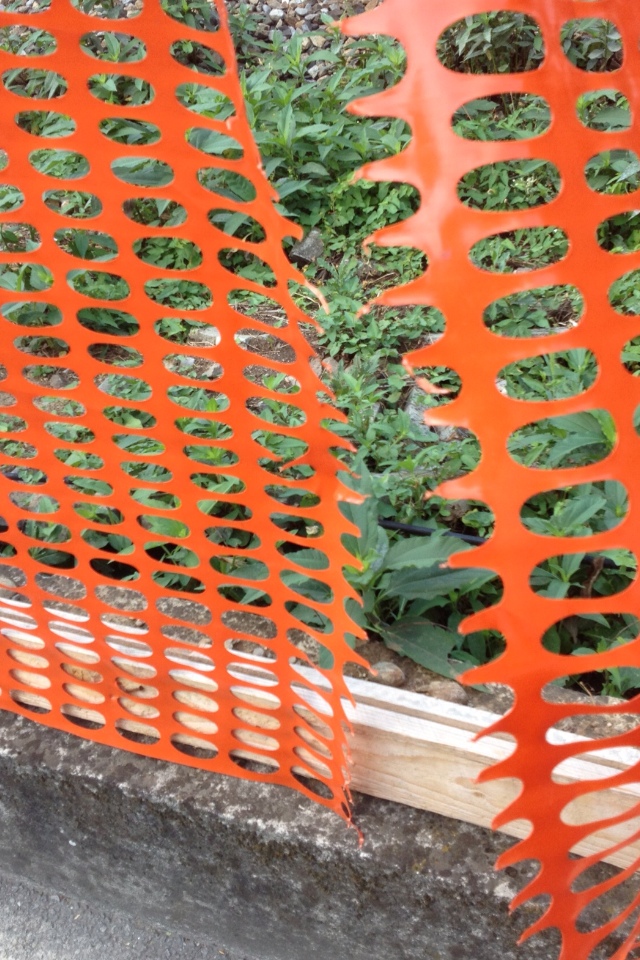 20120808-091335.jpg