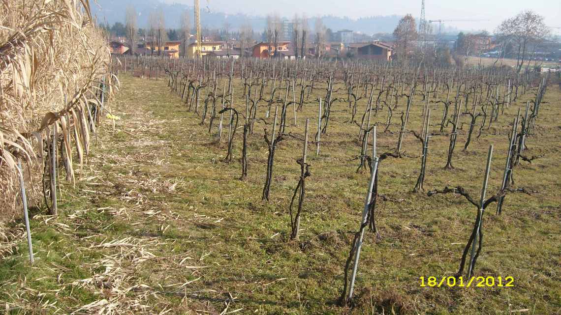 AVVISO BANDO DI GARA - ::: Rete Civica del Comune di Mozzo :::