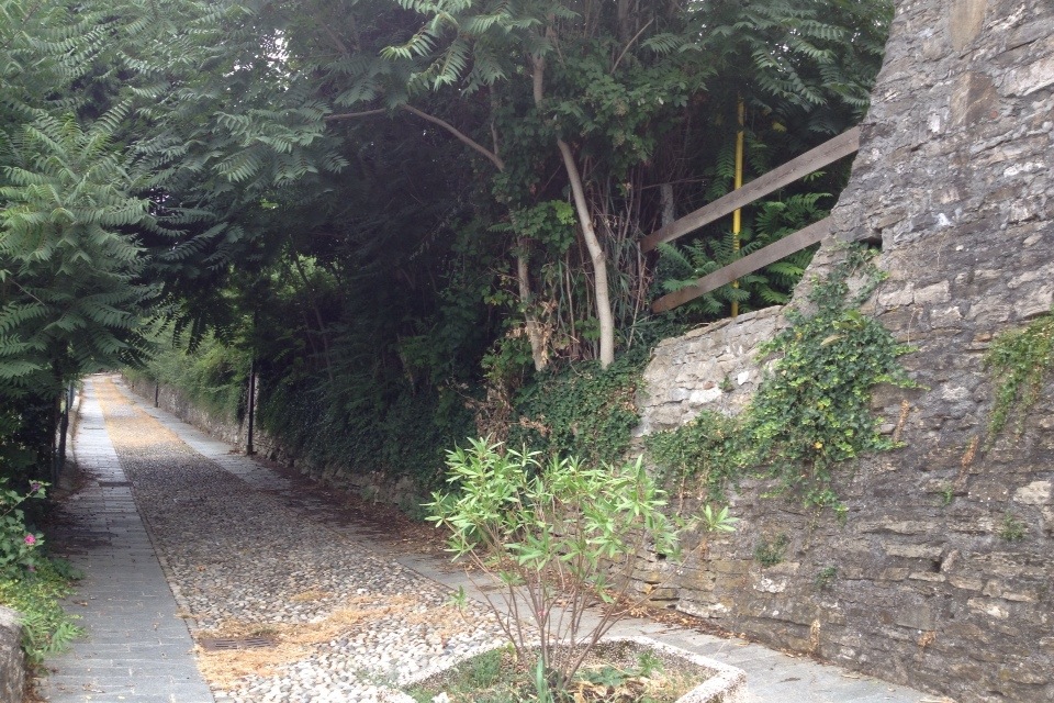 20130808-111615.jpg