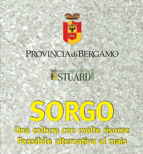 sorgo granella mozzo