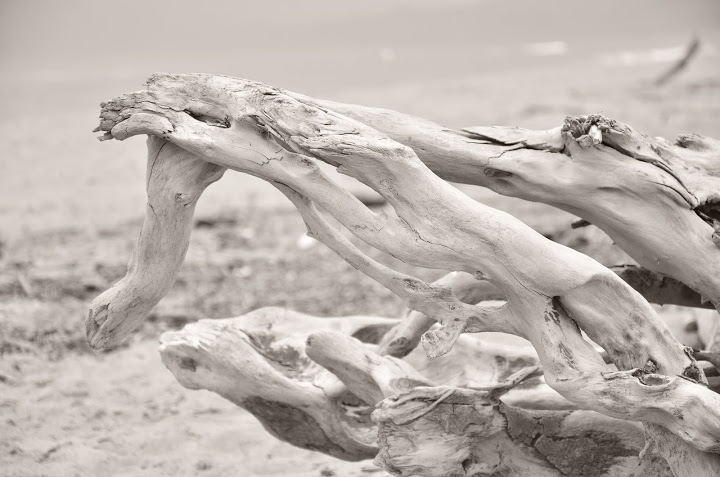 introduzione | Attività regolari