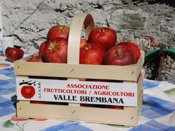 Tutti gli appuntamenti di sabato 19 ottobre - Tempo Libero - L'Eco di Bergamo - Notizie di Bergamo e provincia