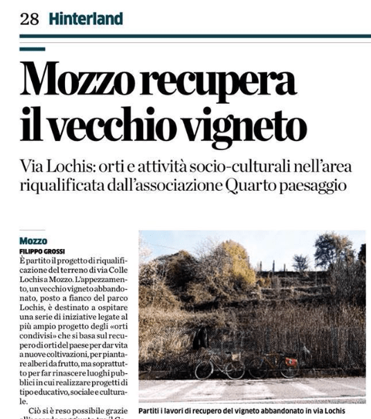 quarto paesaggio mozzo vigneto