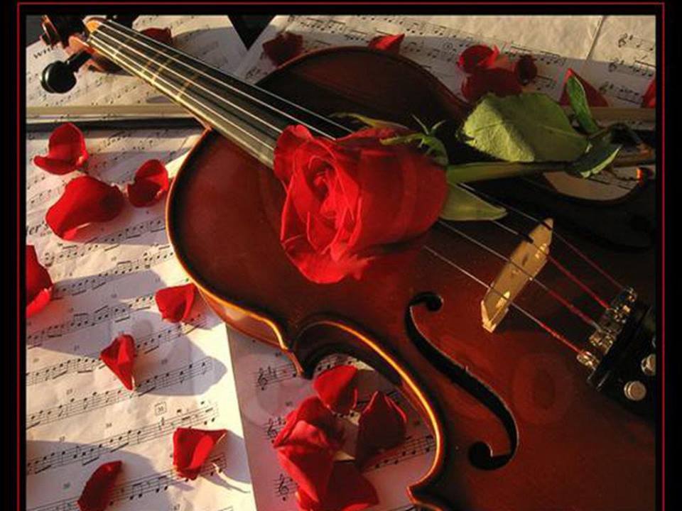 10300519_650443338359653_8329900429205988602_n