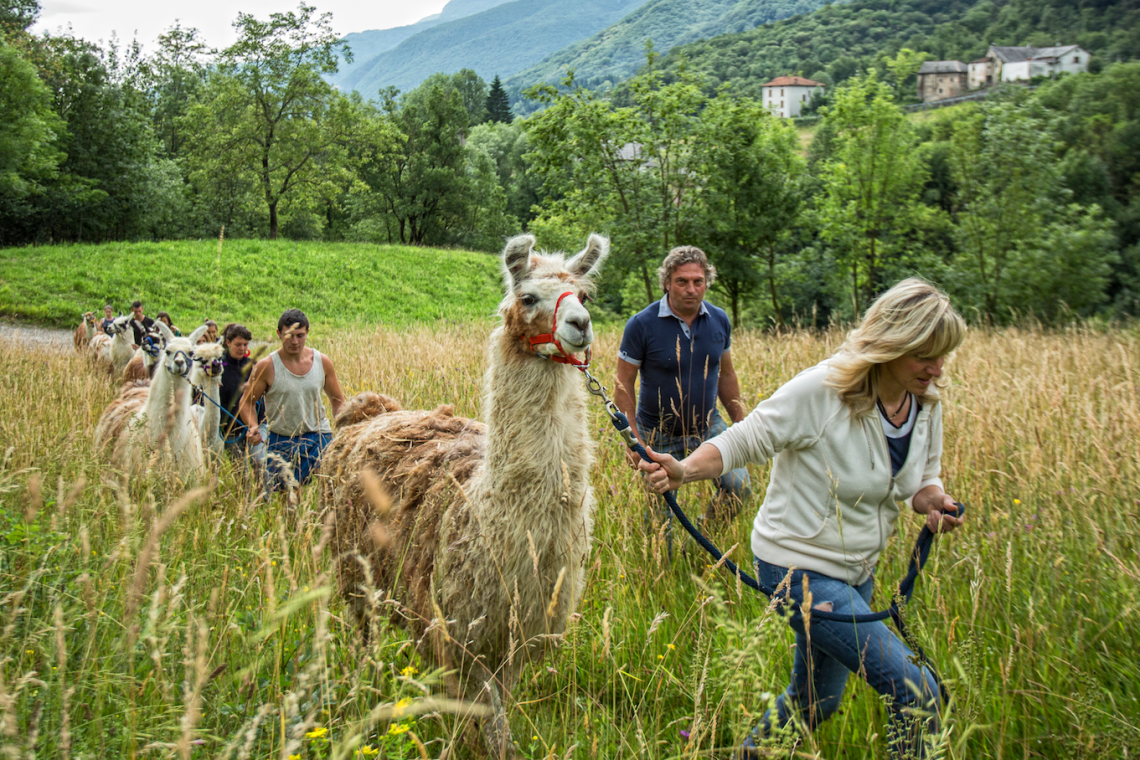 Schermata 2014-06-18 alle 13.26.54