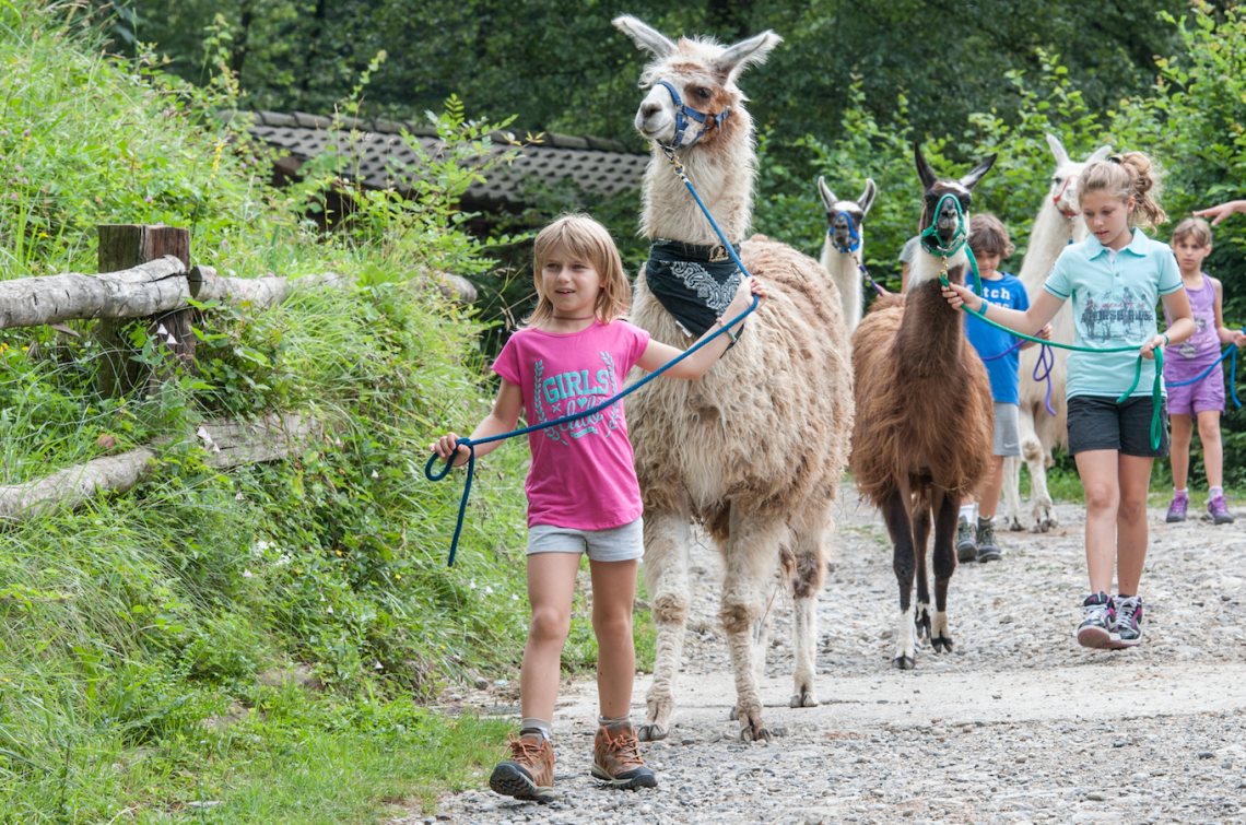 Schermata 2014-06-18 alle 13.27.07