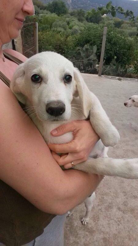 10384910_10203912541787622_2723025623764739817_n