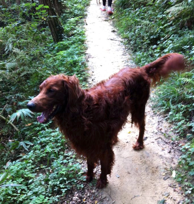 Schermata 2014-09-24 alle 13.24.09