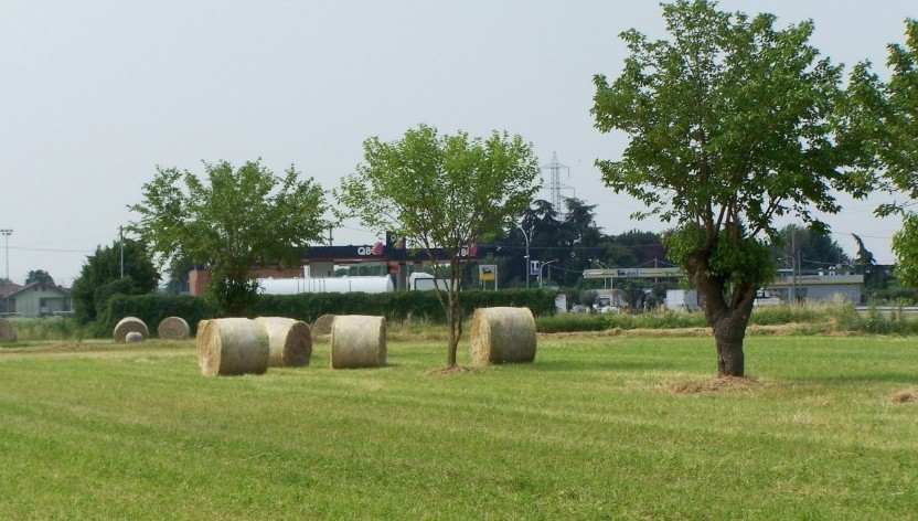 ridimensionata_347 Jun. 04 17.42muru