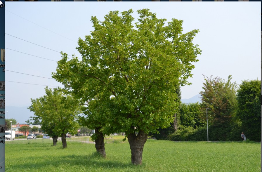 ridimensionata_363 Jun. 05 15.56