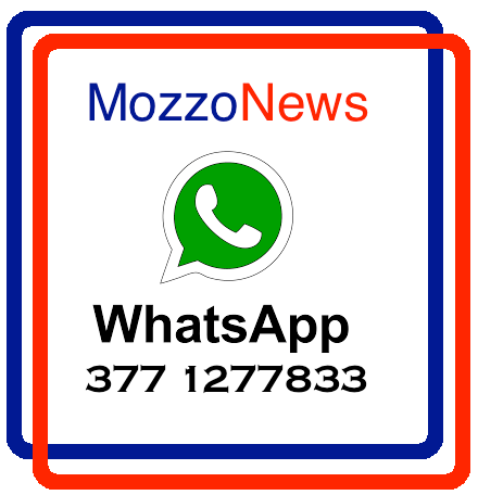 mozzonews whatsapp.png