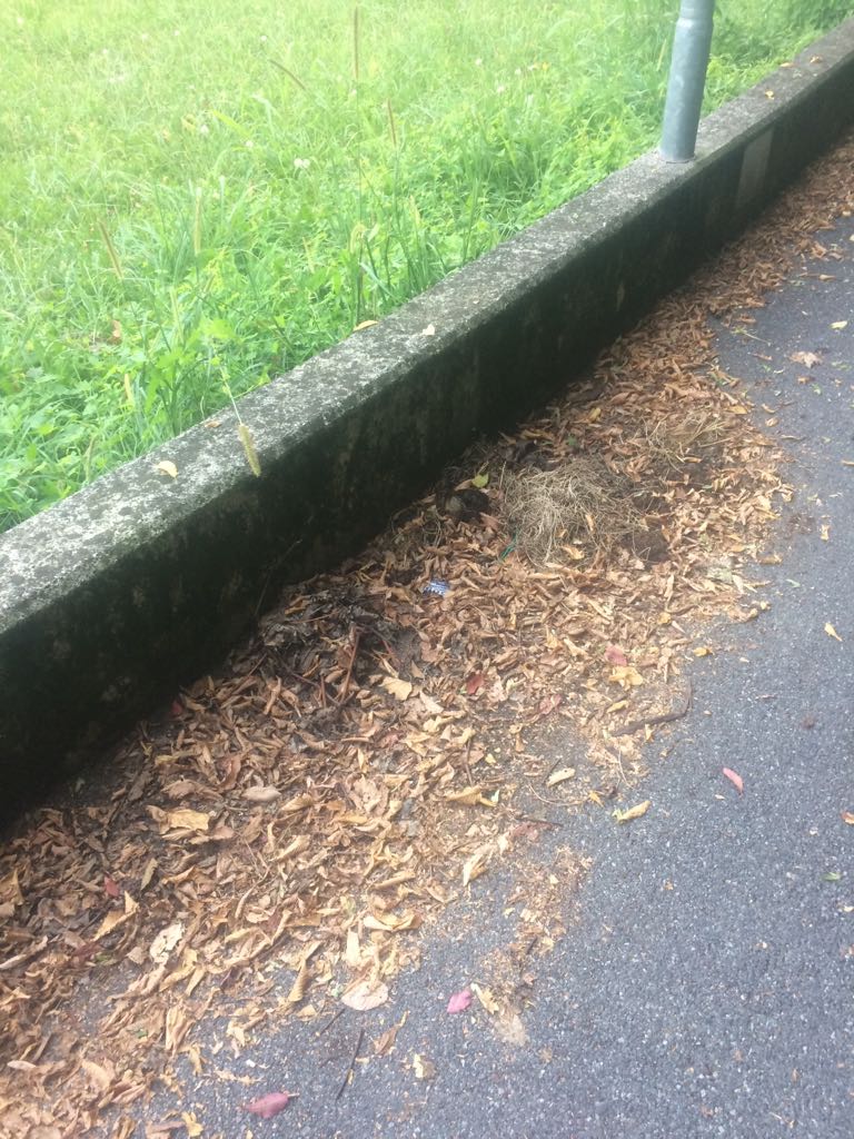 34435af1-4497-4dc6-9d3d-6353f98ca3ba