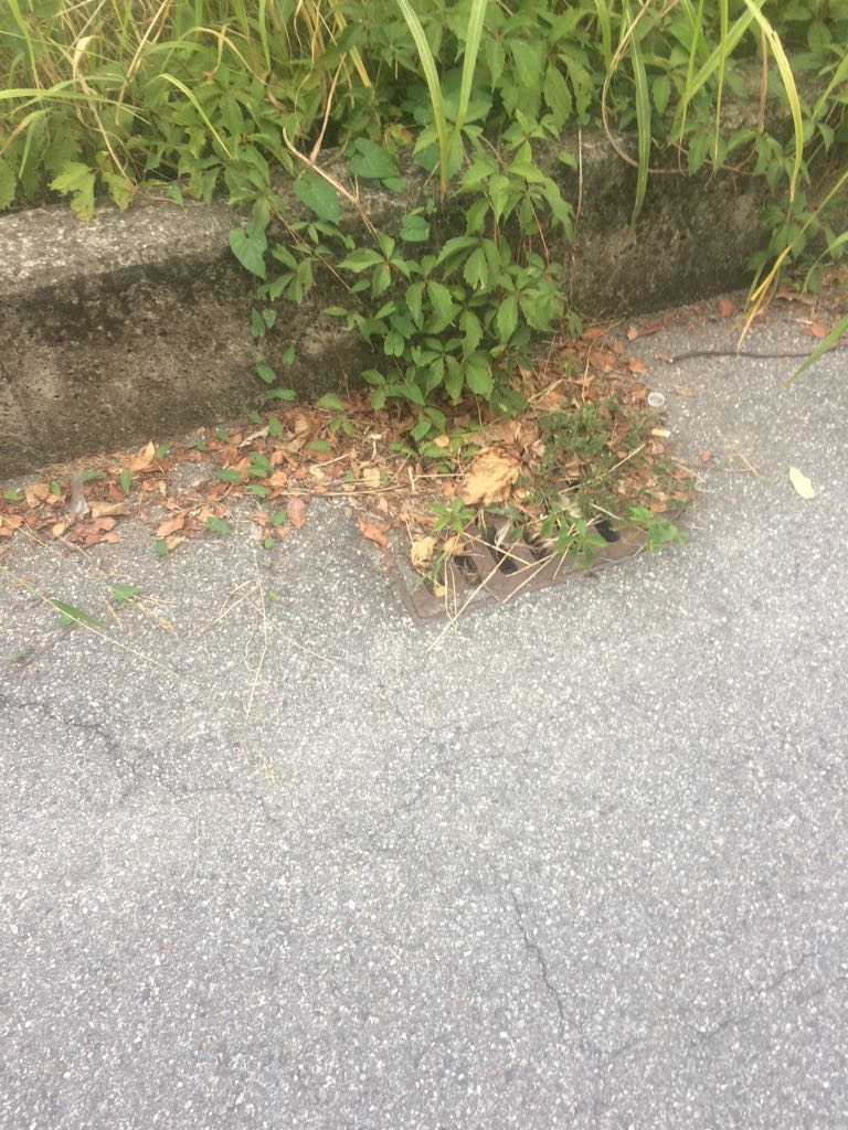 a2ce4e77-5f4a-4b29-9331-6f09d3463eef