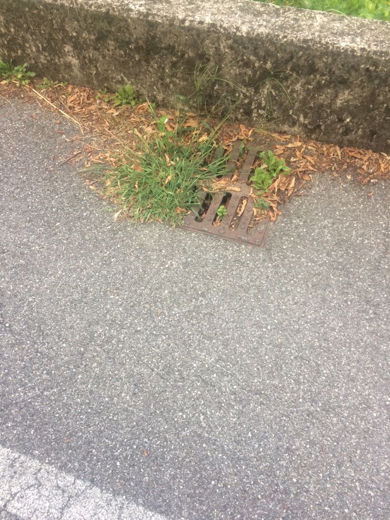 dfb54f65-41e7-4a47-9a64-d1084f8451a6